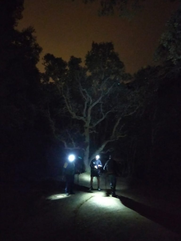 PHOTO-2024-03-28-19-32-37[1]