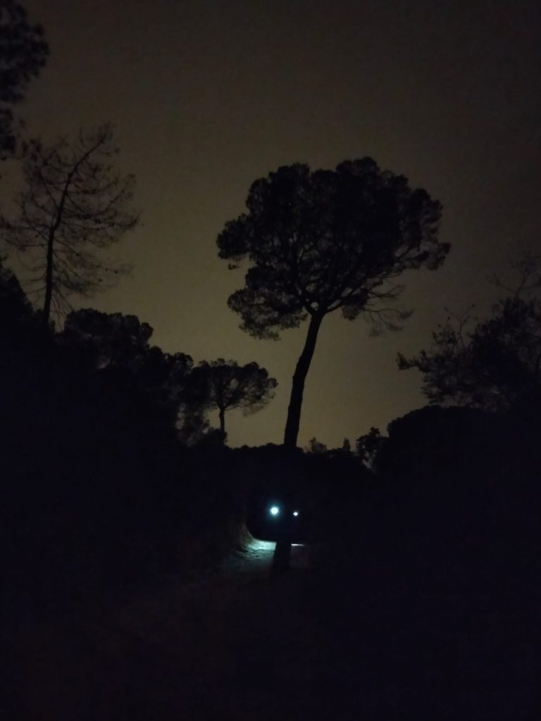PHOTO-2024-03-28-19-32-37[2]