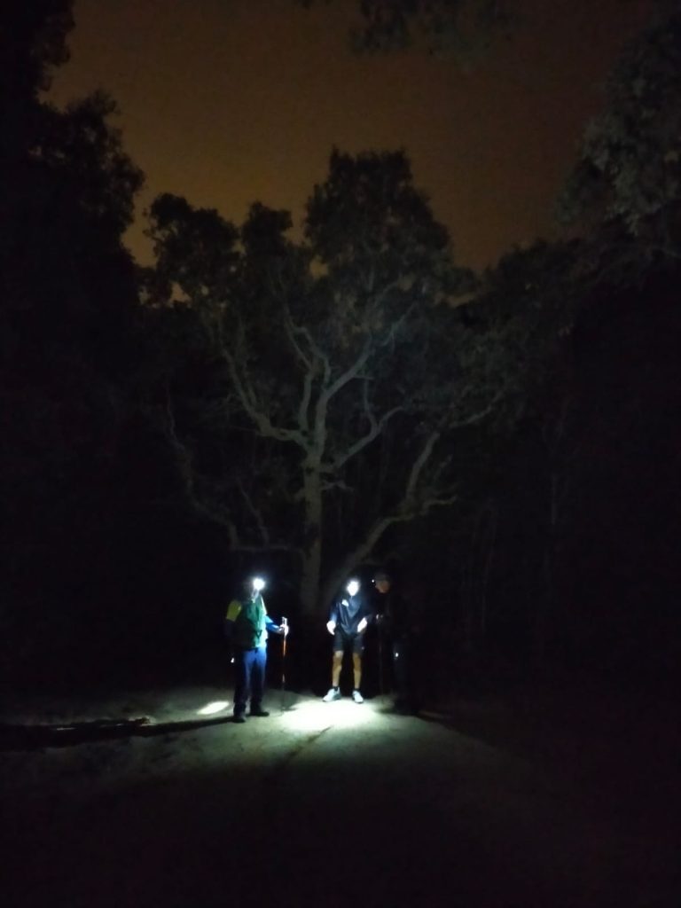 PHOTO-2024-03-28-19-32-37[3]