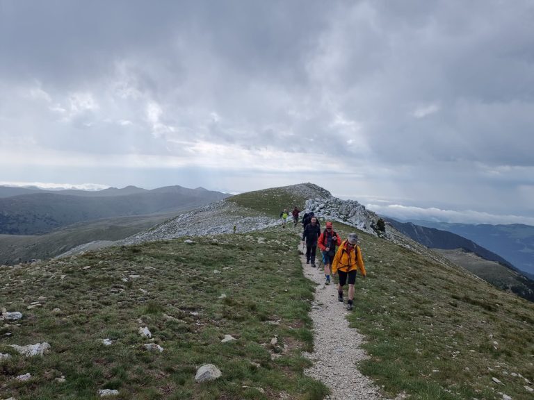 PHOTO-2024-07-06-17-18-00[1]