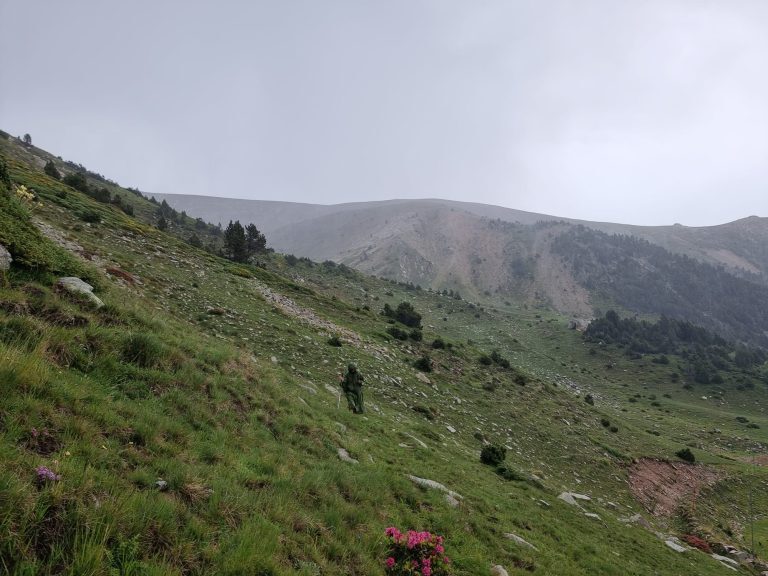 PHOTO-2024-07-06-17-18-07[1]