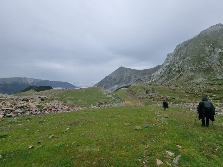 PHOTO-2024-07-06-17-18-09[1]