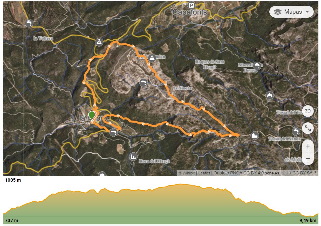 track avellana 1