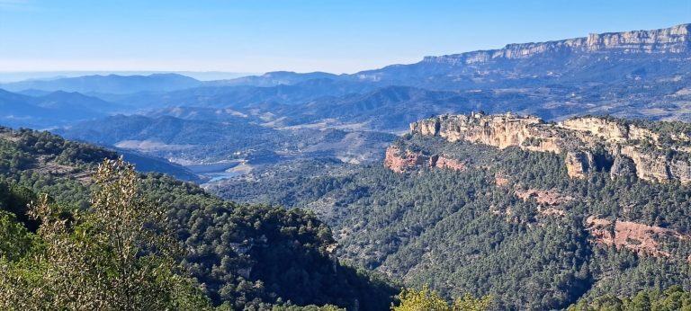 PHOTO-2025-01-20-08-45-11
