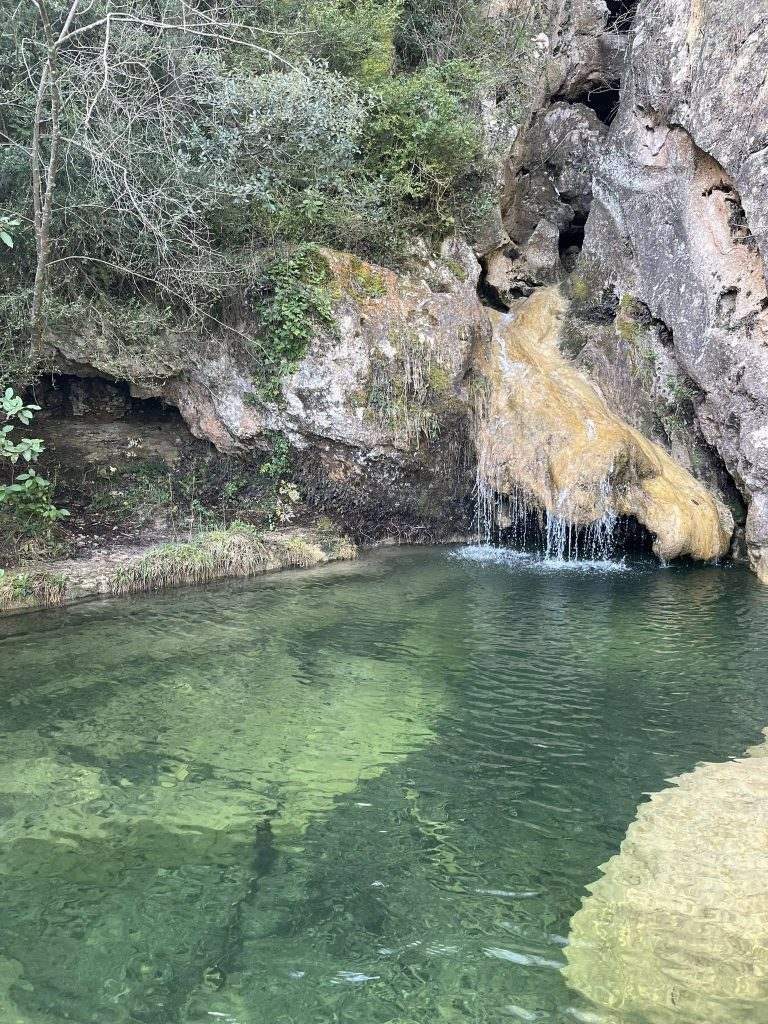 489482828_9970350559644781_518961078129852233_n