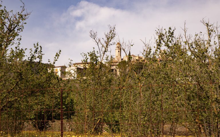 _mg_7938_54451768283_o