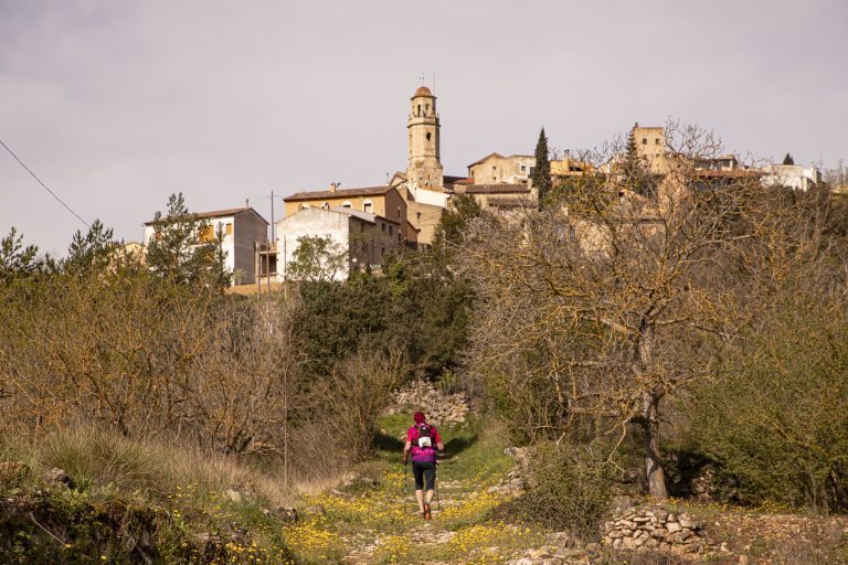 _mg_7939_54451768293_o