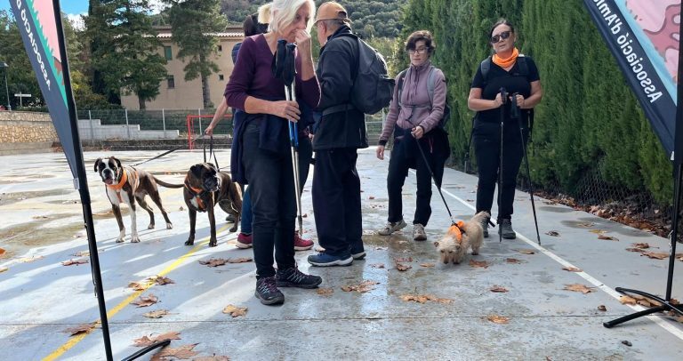 PHOTO-2025-11-17-19-59-33[1]