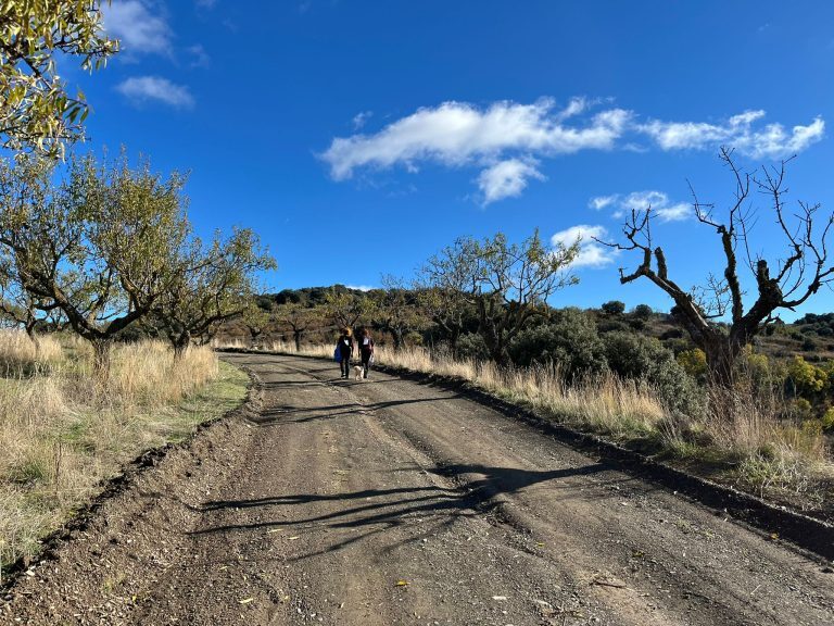 PHOTO-2025-11-17-19-59-53