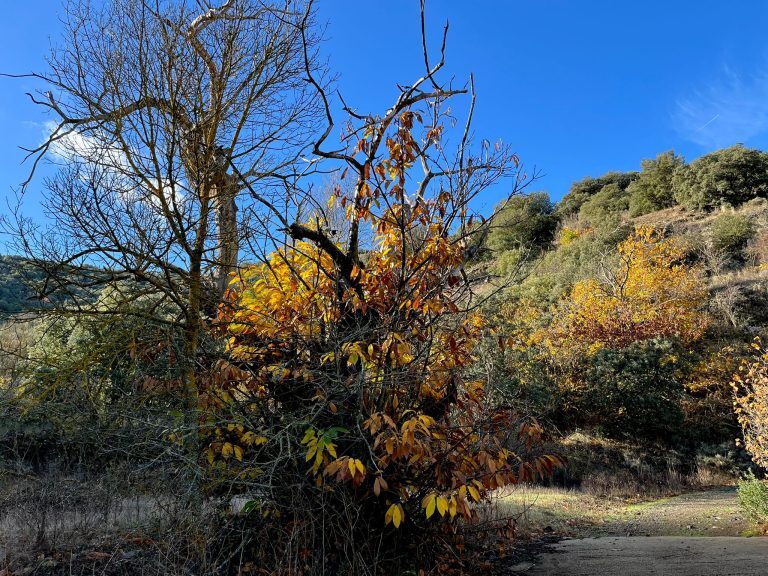 PHOTO-2025-11-17-19-59-53[1]
