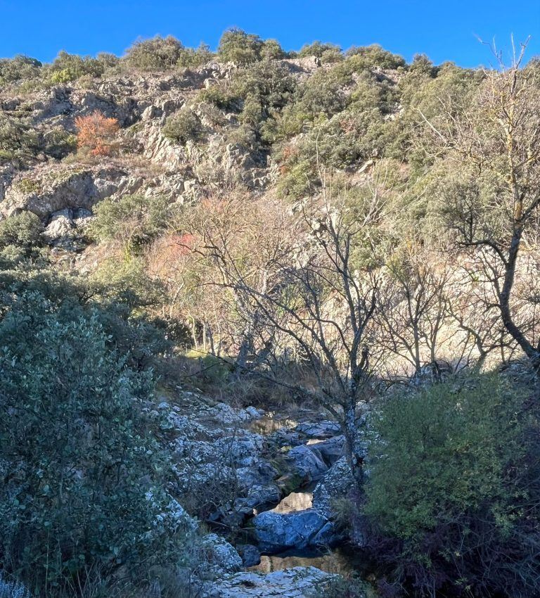PHOTO-2025-11-17-19-59-55[3]