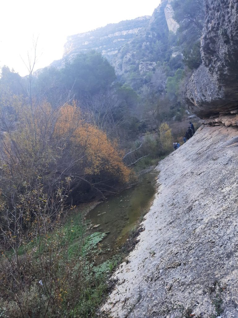 PHOTO-2025-12-14-18-30-24[4]