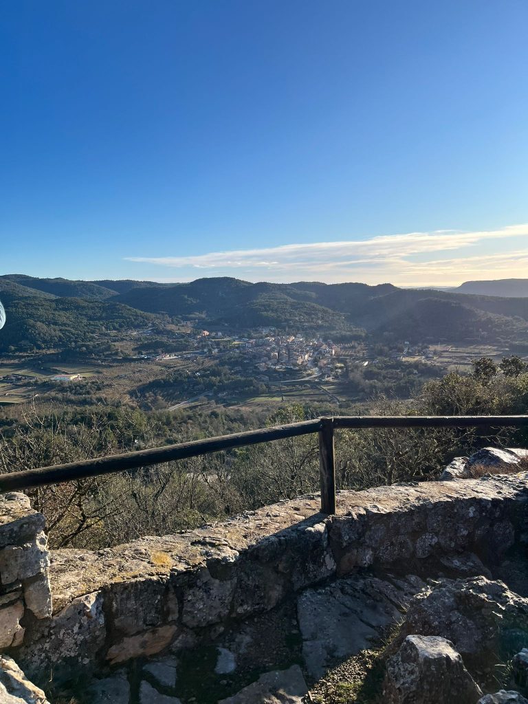 WhatsApp Image 2026-02-08 at 20.29.28