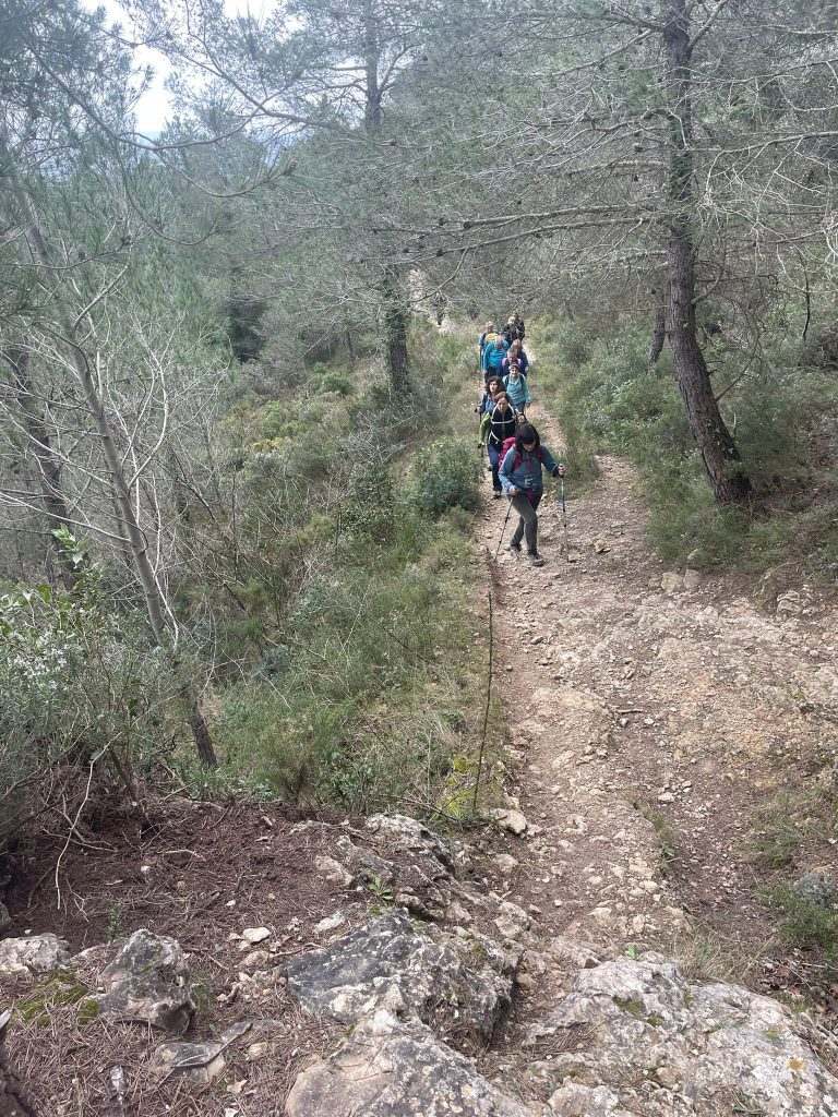 WhatsApp Image 2026-03-02 at 17.45.21