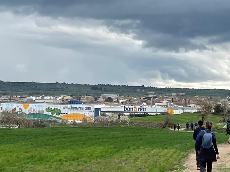 WhatsApp Image 2026-03-08 at 20.00.27 (2)