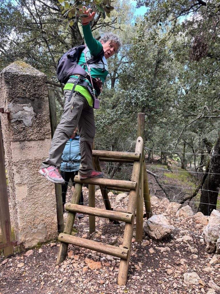 e2850f8e-a5d2-4d72-a8ae-ff593051330a